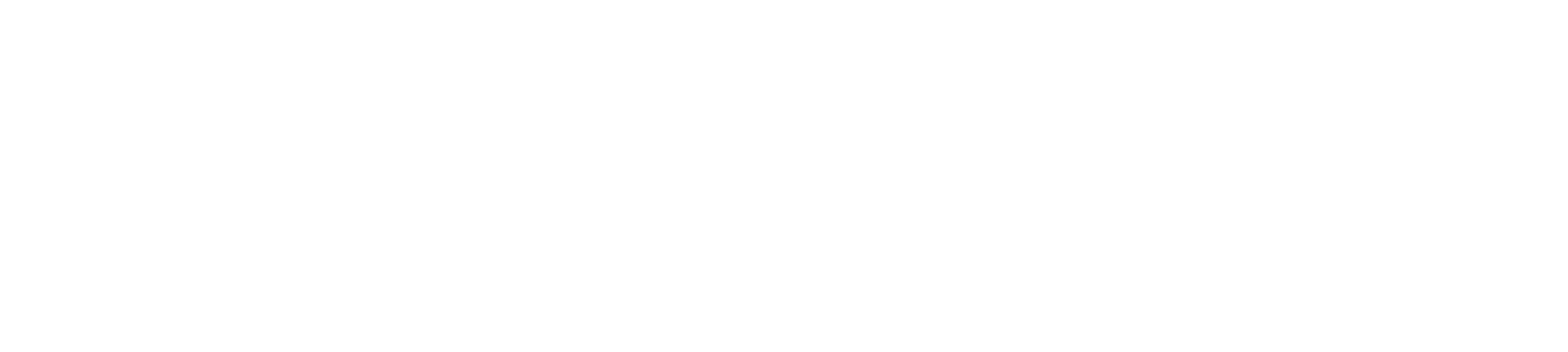 Stevanato Group